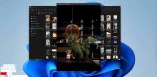 Windows 11 macOS feature