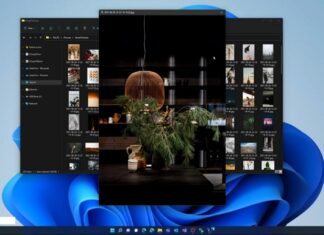 Windows 11 macOS feature