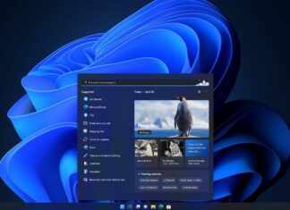 Windows 11 new Search