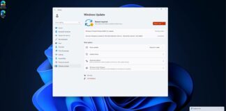 Windows 11 Build 22616