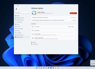 Windows 11 Build 22616