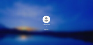 Windows 11 Spotlight feature