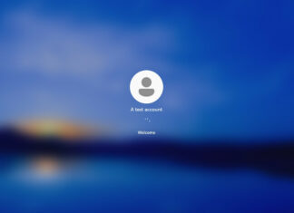 Windows 11 Spotlight feature
