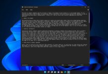 Windows 11 Notepad performance