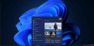 Windows 11 Search update