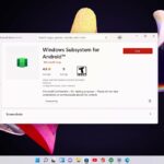 Windows 11 Android Subsystem WSA