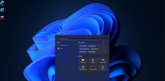 Windows 11 search bar update