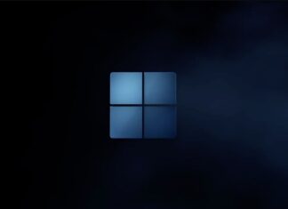 Windows 11 KB5016691