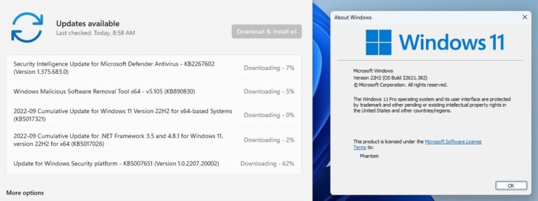 windows 11 version 22h2 download error