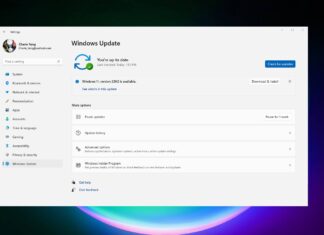 Windows 11 22H2 is not installing