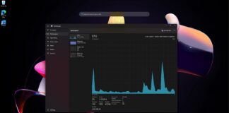 Windows 11 100% GPU usage