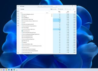 Windows 11 Explorer process