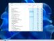 Windows 11 Explorer process