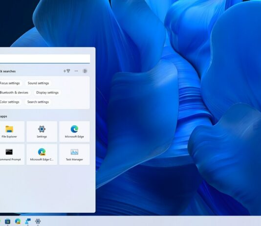 Windows 11 taskbar search