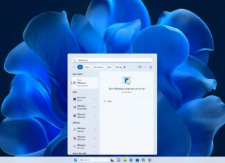 Windows 11 January 2023 Update