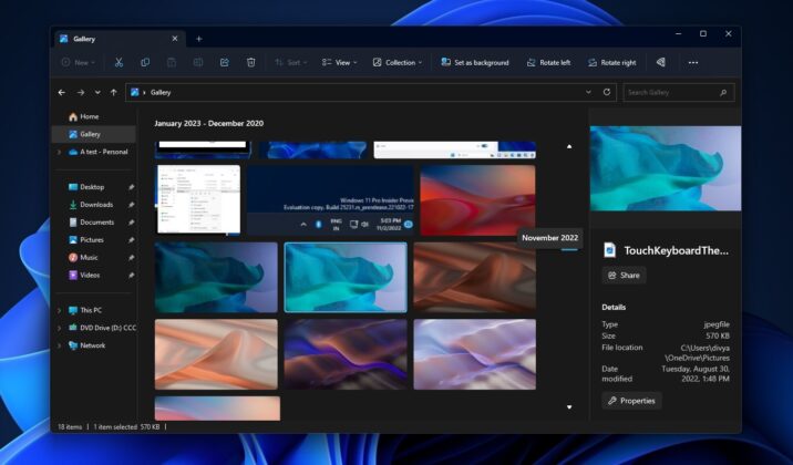 Windows 11 File Explorer Gallery View