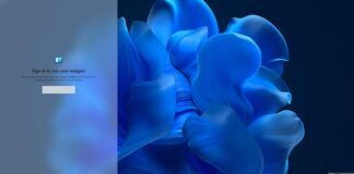 Windows 11 KB5025224 update