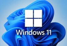 Windows 11 KB5025305 update