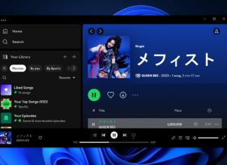 Windows 11 Spotify app
