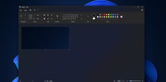 Windows 11 Paint app