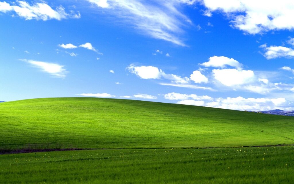 Microsoft explains why Windows XP ran almost everything, and it lied to ...