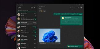 WhatsApp for Windows 11 screen sharing