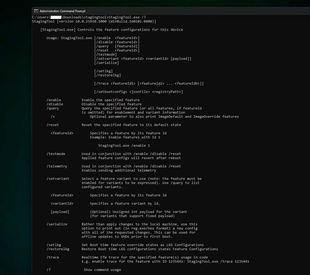 Windows 11 StagingTool leak