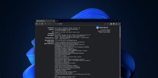 Google Chrome picture in picture mode