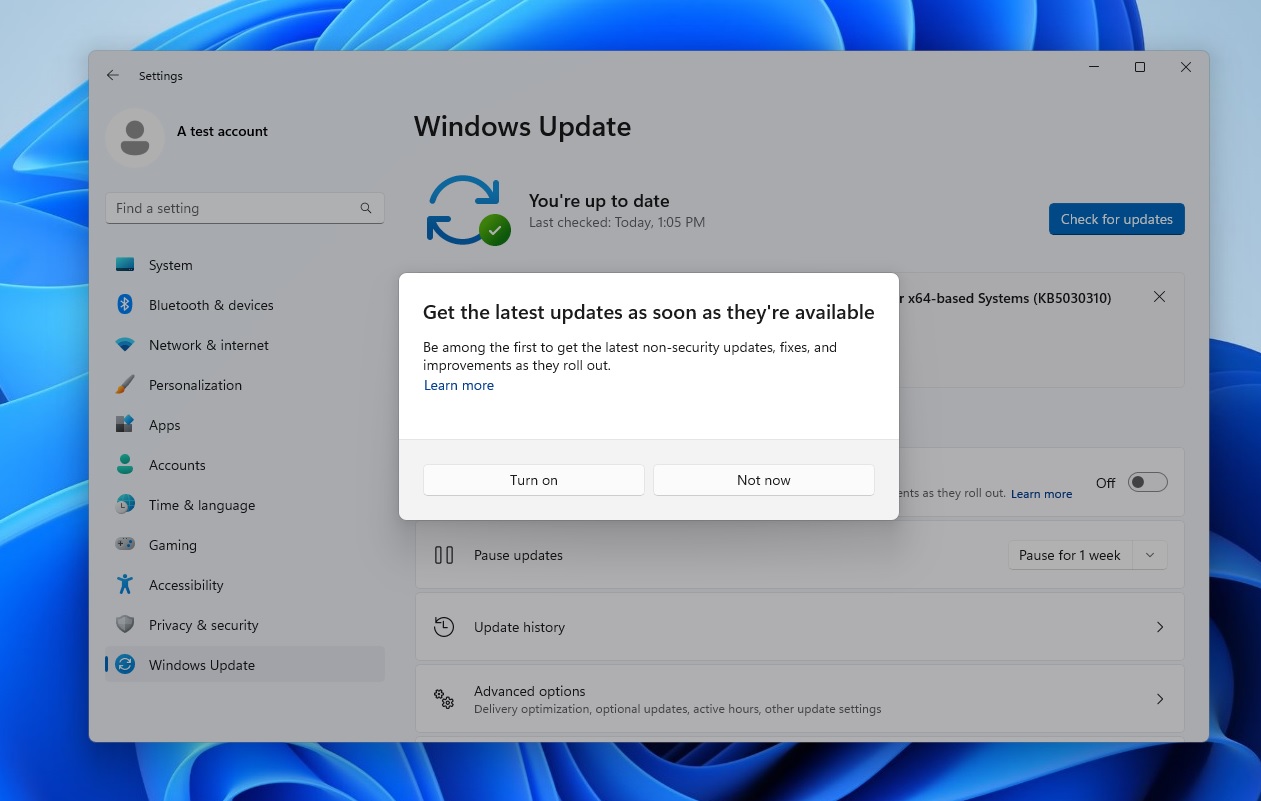 Install Windows 11 Moment 4 update