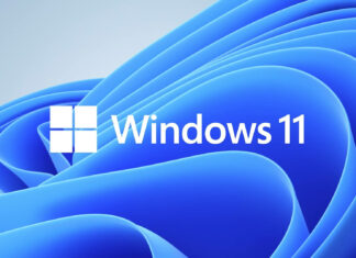 Microsoft Insider MVP Program