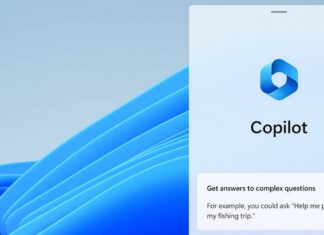 Windows 11 Copilot
