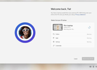 Windows Backup app on Windows 11