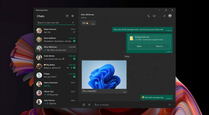 WhatsApp para Windows 11 com visualização única