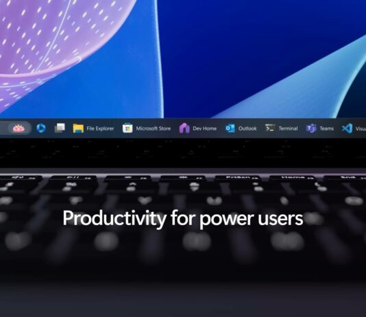Windows 11 Advanced Settings for power users