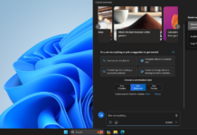 Windows 11 copilot in full screen
