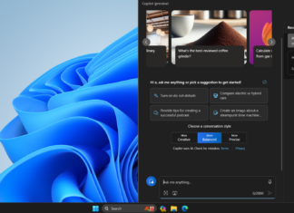 Windows 11 copilot in full screen
