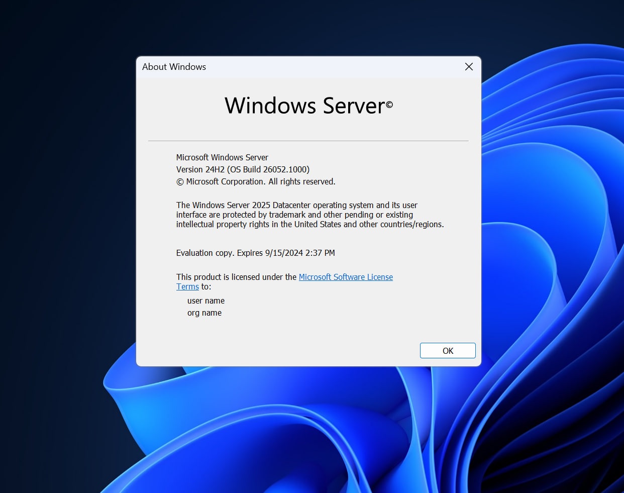 Windows Server 2025 preview build
