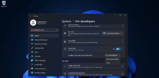 Windows Sudo leak