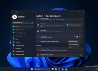 Windows Sudo leak
