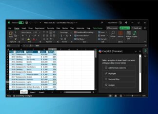 Microsoft Excel with Copilot