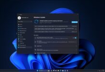 Windows 11 KB5034848 update