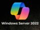 Microsoft says it accidentally added Copilot app to Windows Server 2022 Copilot automatically installs on Windows Server 2022