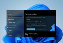 Windows 10 paid updates