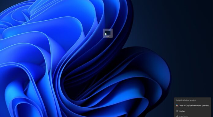 Windows 11 KB5036992 update