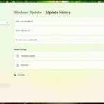 AI Component updates in Windows 11