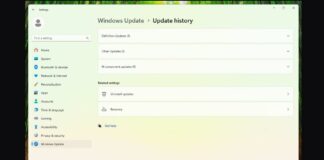 AI Component updates in Windows 11