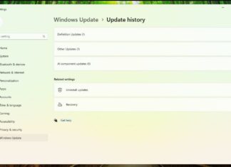AI Component updates in Windows 11