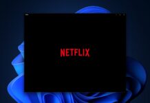 Netflix app for Windows 11