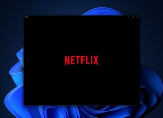 Netflix app for Windows 11