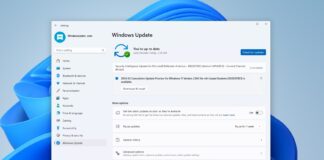 Windows 11 KB5037853 update